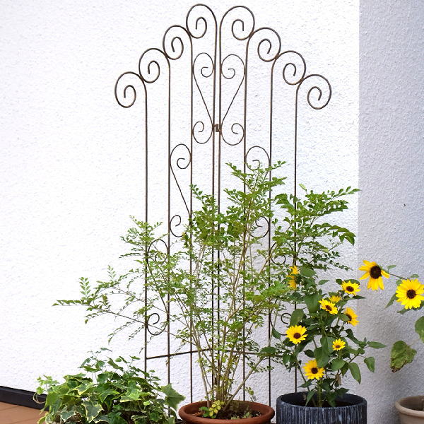 ガーデンフェンス トレリス おしゃれ かわいい 仕切り アイアン 2枚折り アンティーク調 シャビーなガーデニングフェンス ダブル [mty7201]