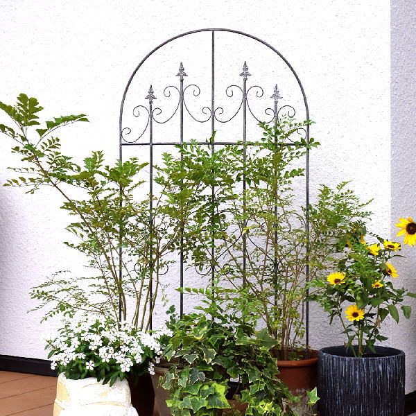 ガーデンフェンス トレリス おしゃれ かわいい 仕切り アイアン ヨーロピアン ワイド シンプル シャビーなアイアンアーチフェンス ワイド [mty7202]