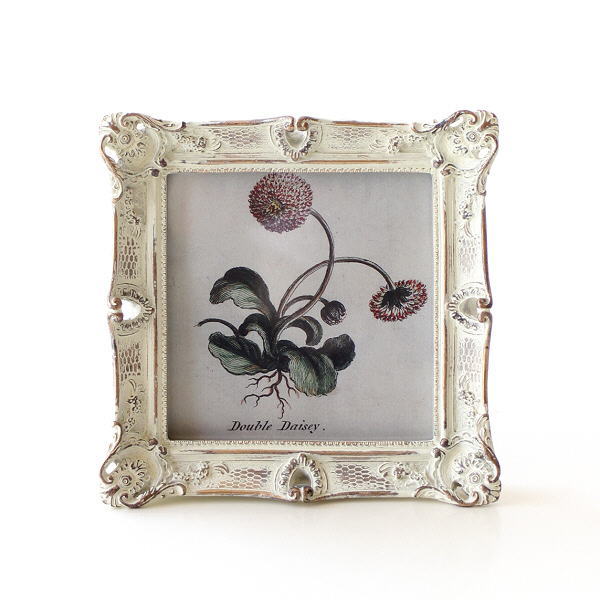 フォトフレーム 写真立て 卓上 壁掛け スクエア おしゃれ かわいい 正方形 アンティーク クラシック カフェ フォトフレーム コーサスクエア [scc9888]