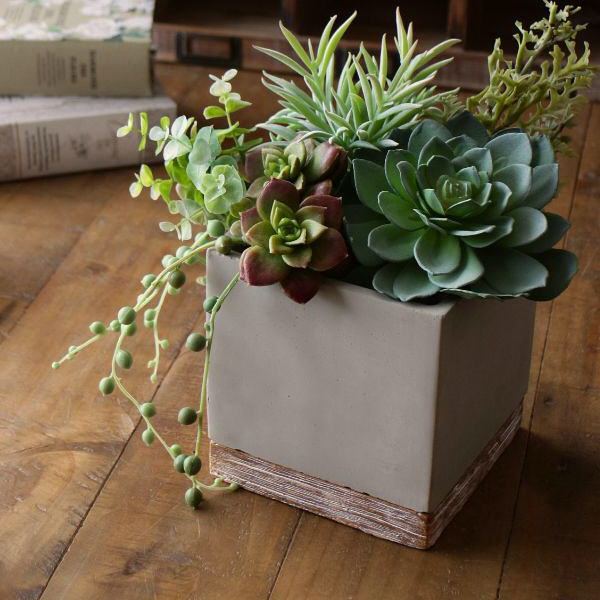 鉢 プランター セメント 四角 おしゃれ かわいい 可愛い 植木鉢 フラワーポット 鉢植え 底穴あり 14cm 4号 5号 バイカラーセメントプランター スクエア [spc5270]