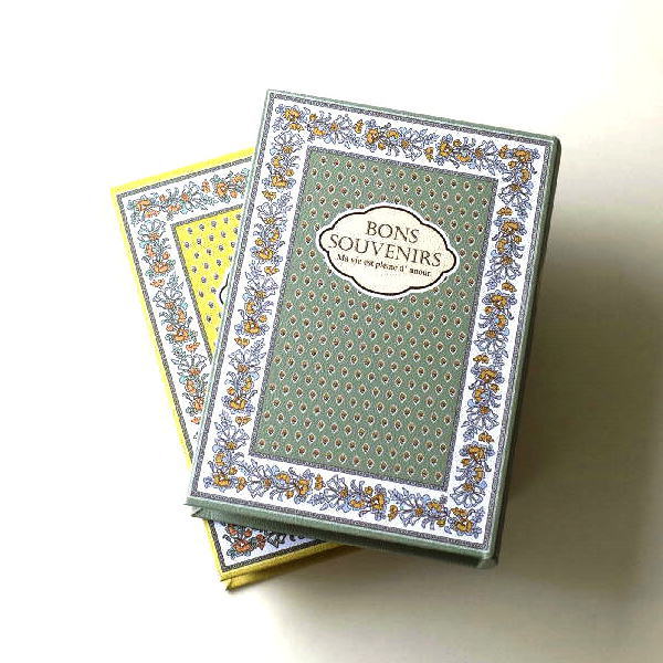 小物入れ 本型 ブック型 おしゃれ 洋書 かわいい 収納ボックス BOX アンティーク風 ブックボックス アヴィニヨンボーダー 2カラー [tom1872]