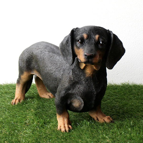 犬 置物 屋外 玄関 リアル 大型 大きい オブジェ インテリア 樹脂 ガーデン 庭 リビング 可愛い ペット Dachshund ドッグオーナメント ダックスフント 【送料無料】 [toy2688]
