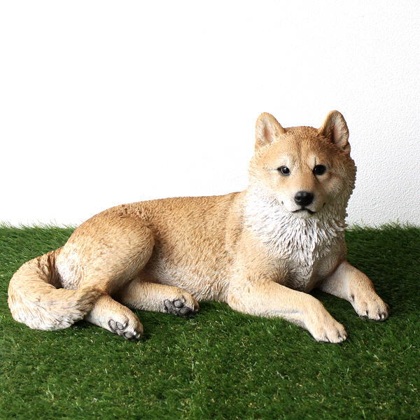 犬 置物 屋外 玄関 リアル 大型 大きい オブジェ インテリア 樹脂 ガーデン 庭 リビング 可愛い ペット SHIBA ドッグオーナメント 柴犬 【送料無料】 [toy4871]
