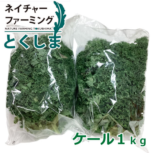 ケール1ｋｇ