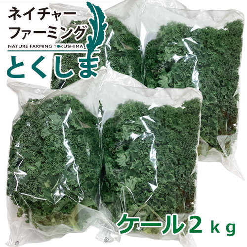 ケール2ｋｇ