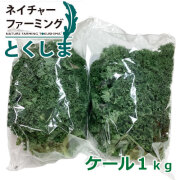 ケール1ｋｇ