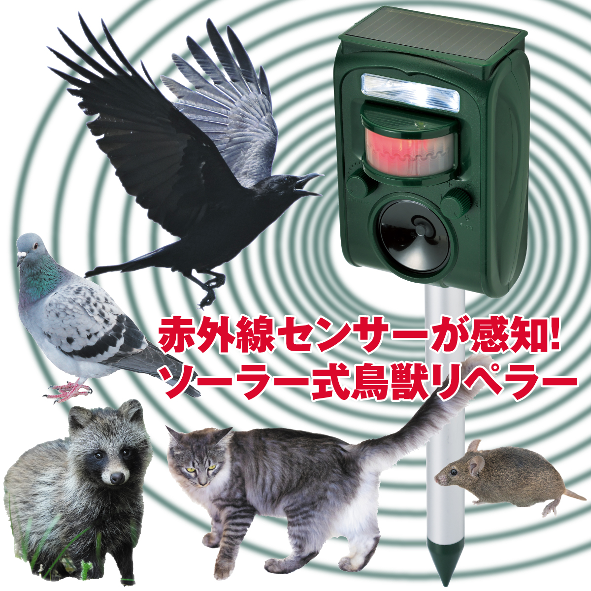 ソーラー式鳥獣リペラー
