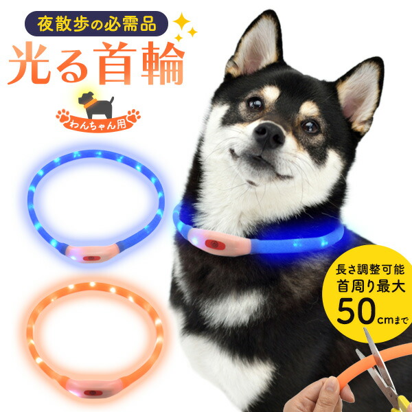 犬用 光る首輪 50cm