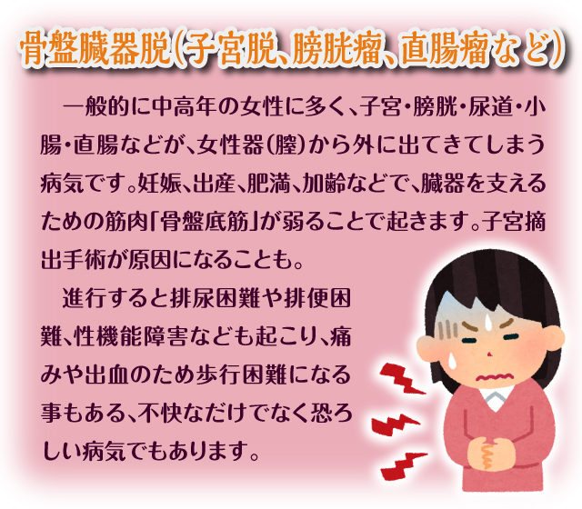 骨盤臓器脱サポーター　メディカル・テイキン