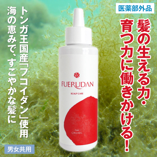 フエルダン