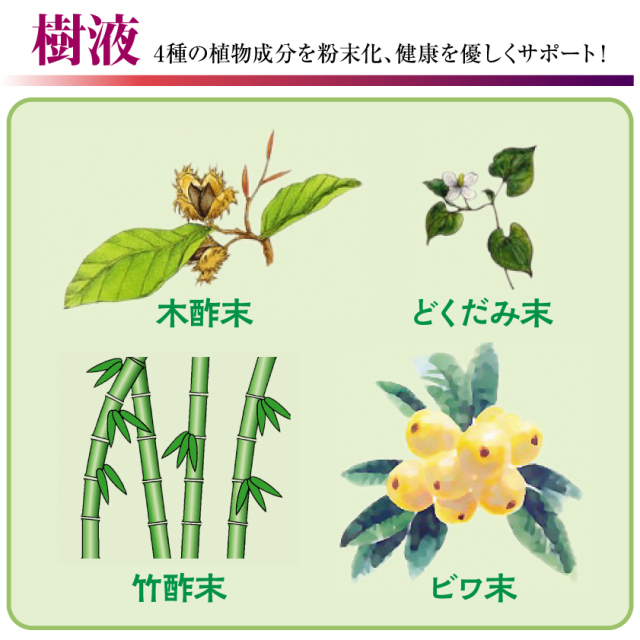 ジャスパー足裏シート