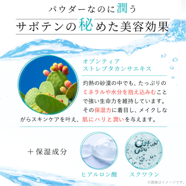 nopaルースパウダー