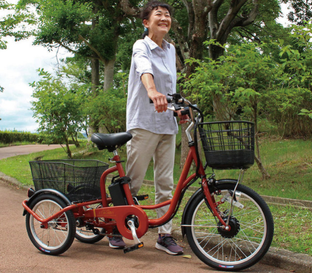 電動 三輪車 自転車 アシらく トロワ 電動アシスト アシスト