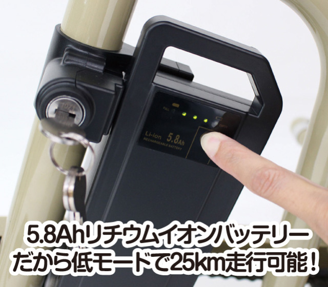 ノーパンク電動アシスト三輪自転車