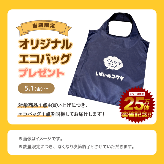 コウタバンダナ_エコバッグ付き