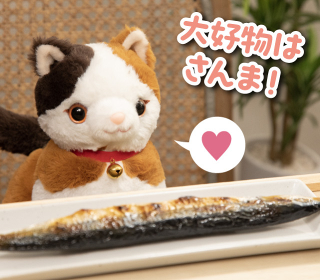 音声認識ぬいぐるみ こんにちニャン！みけねこミミコ│身近な