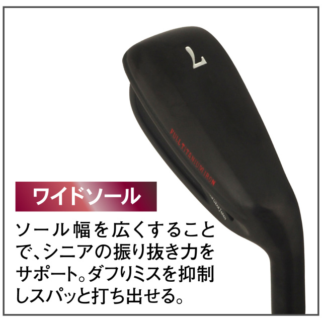 ムツミホンマ フルチタンアイアン