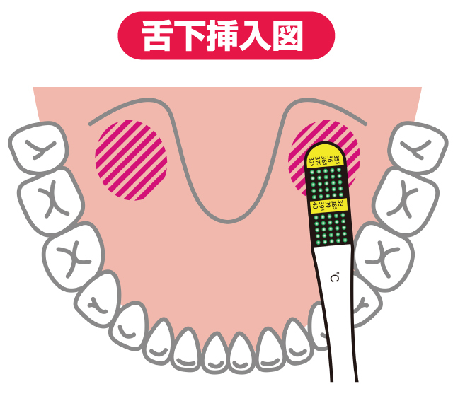 液晶体温計フラットミニ