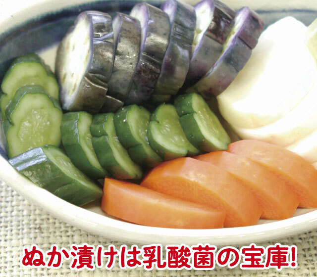 本格ぬか漬け楽々セット