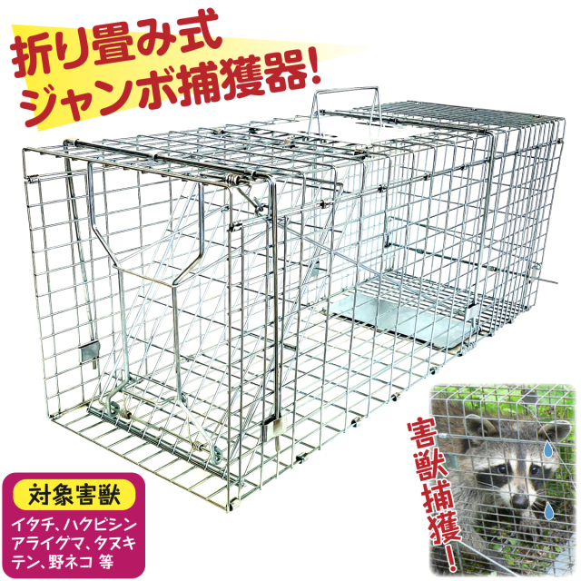 動物用捕獲器具 栄工業 栄ヒルズ 捕獲器 D type No.202 IT-2 対象動物イタチ(オス) - 4