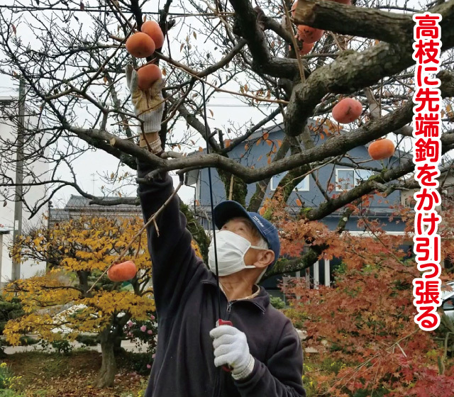 剪定ヘルパー