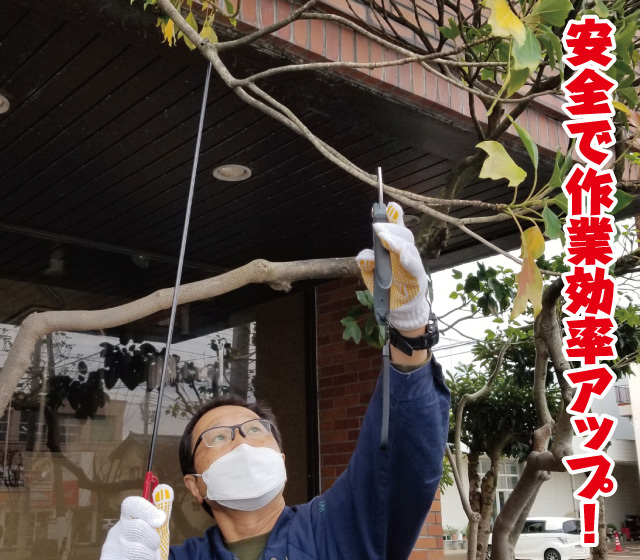剪定ヘルパー