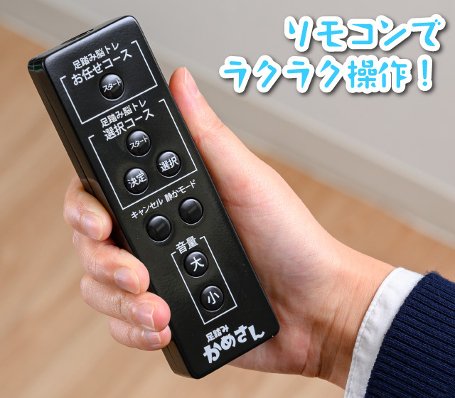 足踏みかめさん