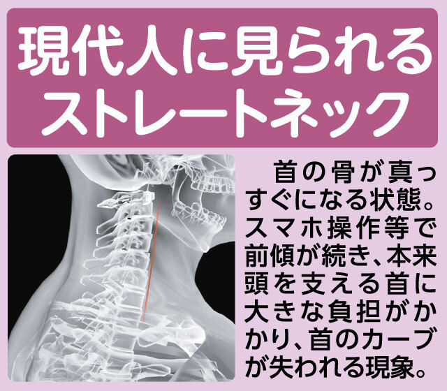 ネックストレッチャー・プロ