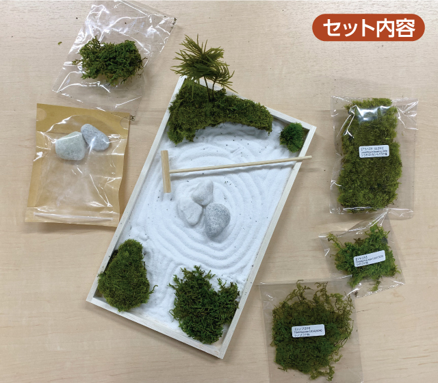 苔の生す枯山水キット