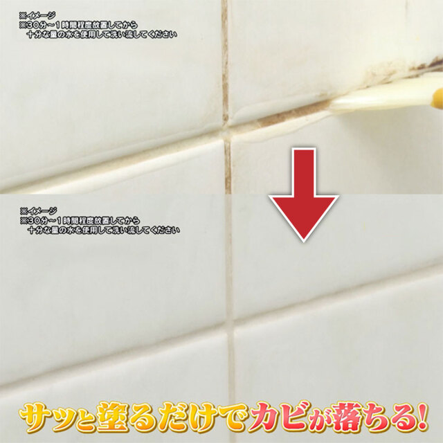 日本製 ファミラ カビクリーンジェル 2本組
