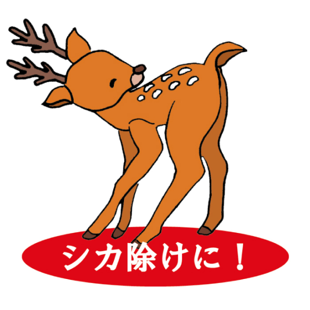 ウルフピー3箱セット