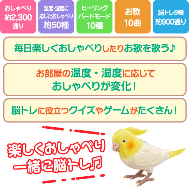 もっとおしゃべり天才オカメインコちゃん