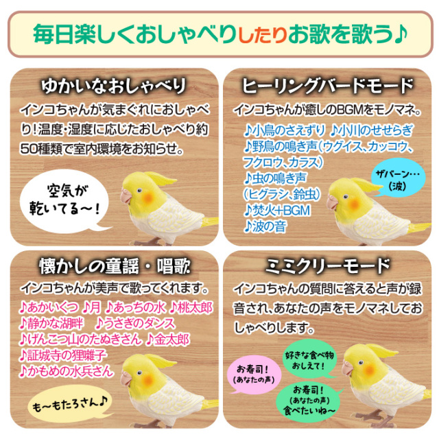 もっとおしゃべり天才オカメインコちゃん