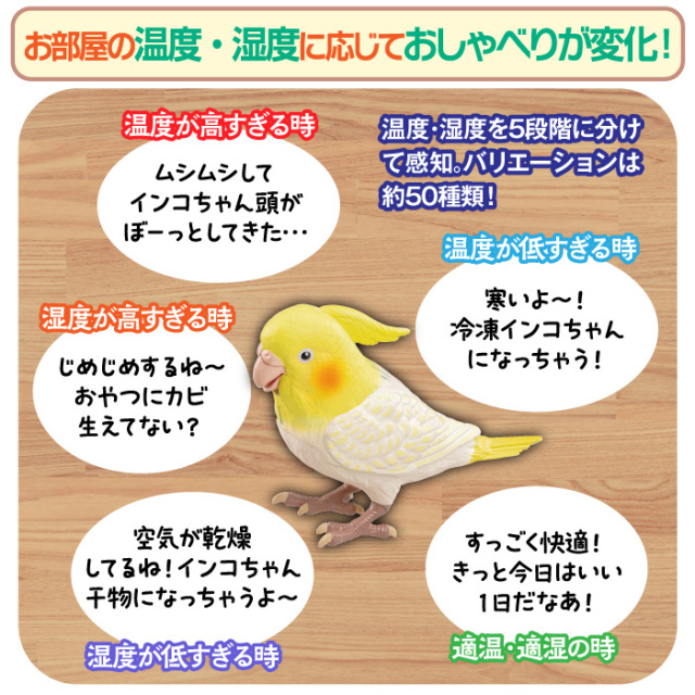 もっとおしゃべり天才オカメインコちゃん