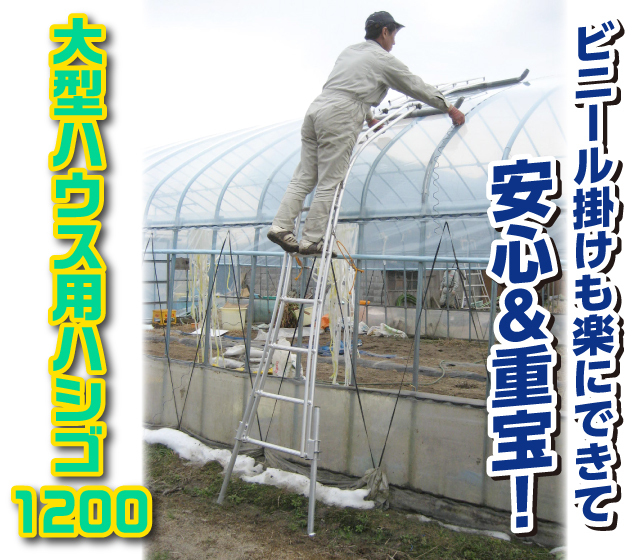 大型ハウス用ハシゴ1200