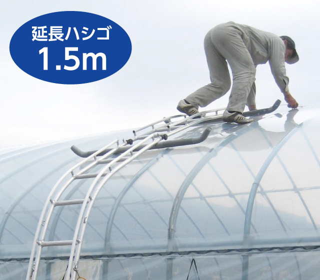延長ハシゴ1.5ｍ