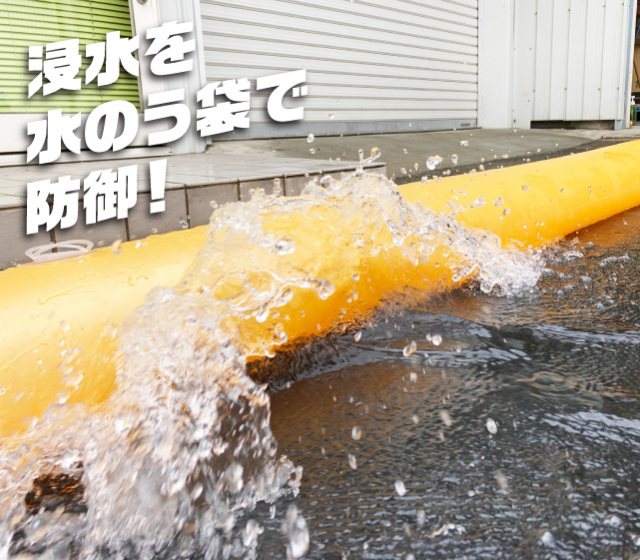 イージーダム