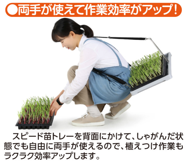 スピード苗トレー