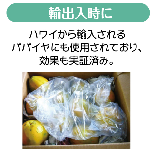 フレッシュママ