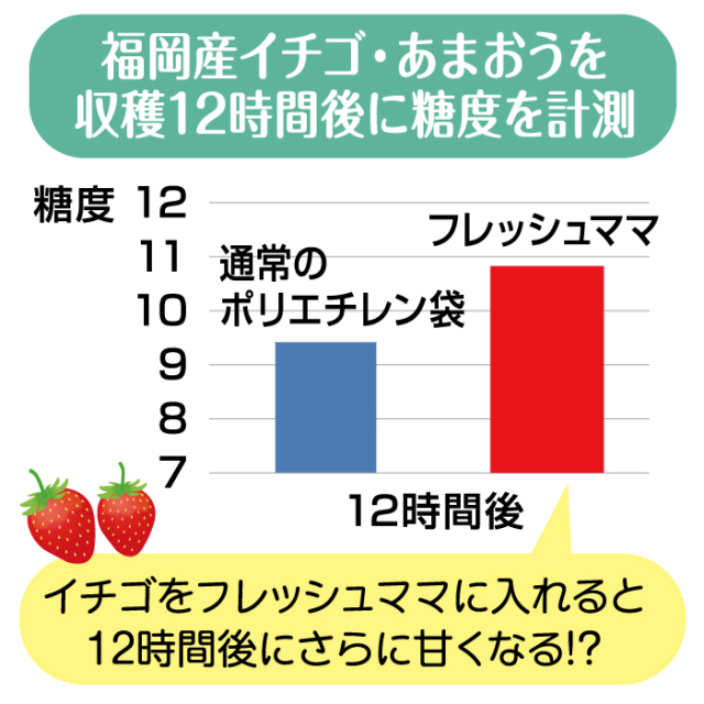 フレッシュママ