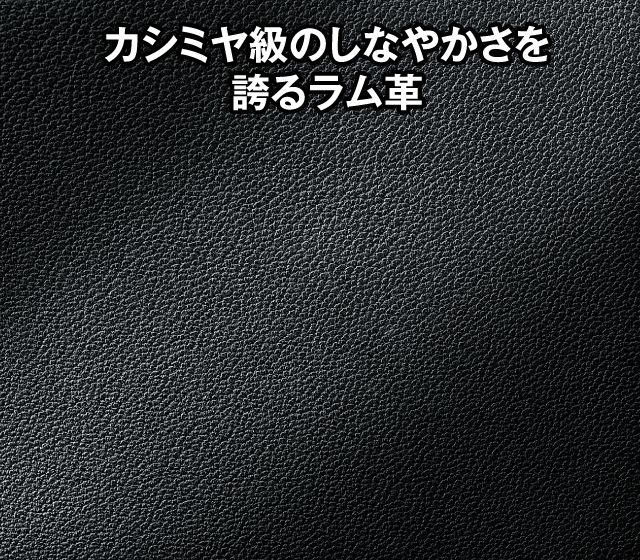 オーストリッチレグ＆ラム革マルチポケットショルダー