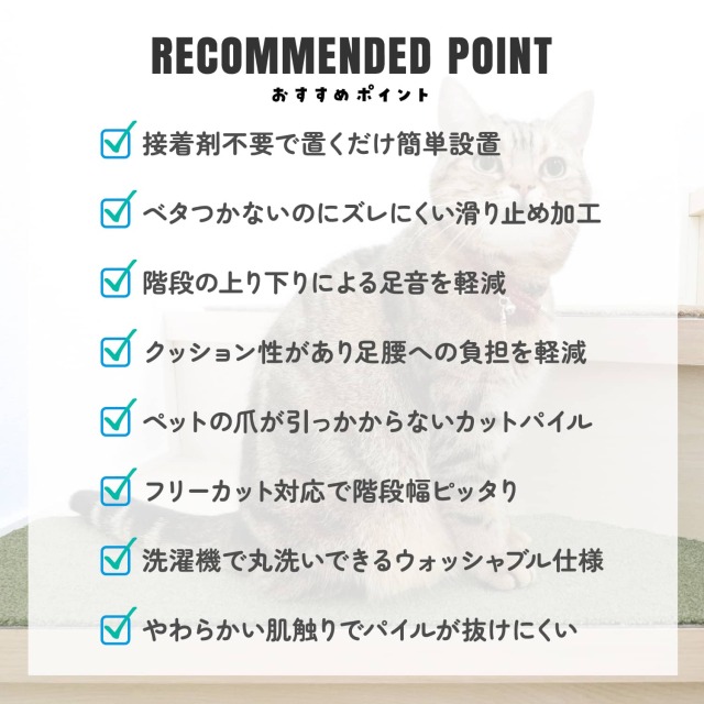 ラグタス 階段 滑り止めマット