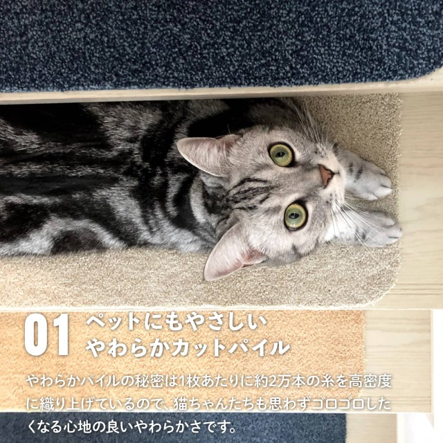 ラグタス 階段マット てくてく肉球