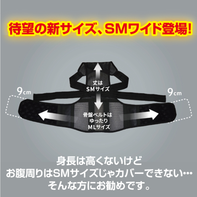 骨盤グイッと背筋Sラインベルト