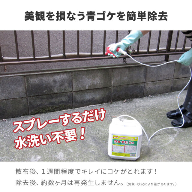 コケカビ取り 4L