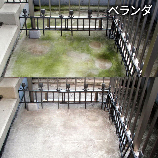 コケカビ取り 4L
