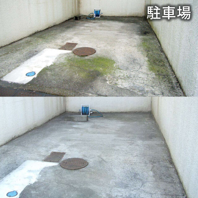 コケカビ取り 4L