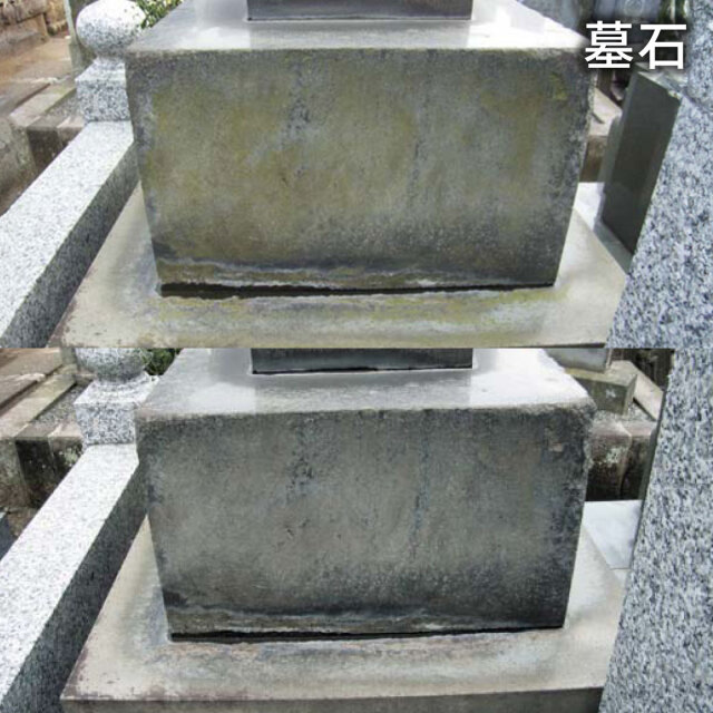 コケカビ取り 4L