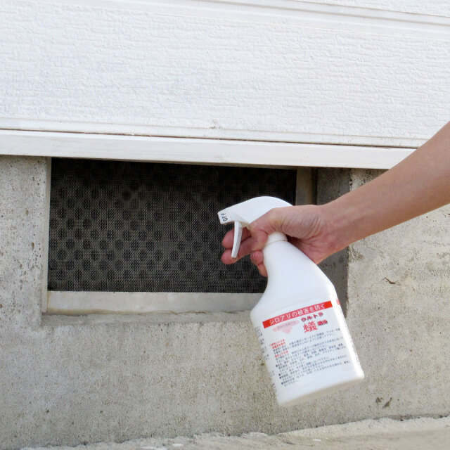 ウルトラ蟻退治