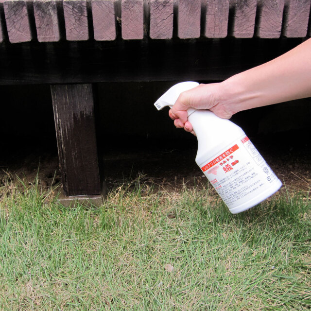 ウルトラ蟻退治